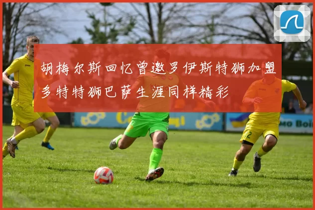 胡梅尔斯回忆曾邀罗伊斯特狮加盟多特特狮巴萨生涯同样精彩