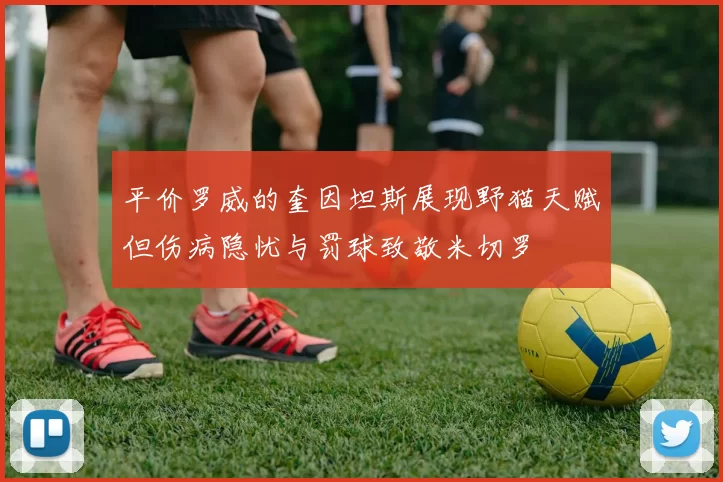 平价罗威的奎因坦斯展现野猫天赋但伤病隐忧与罚球致敬米切罗